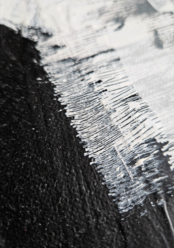 Danuta-Vis-Dwie-Sroki-Szczegol-2