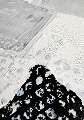 Danuta-Vis-Dwie-Sroki-Szczegol-4